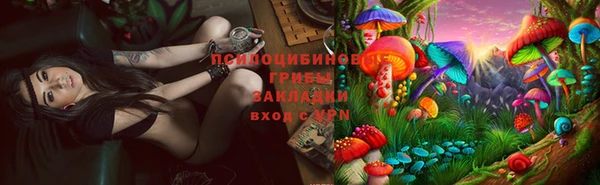 прущий лед Нея