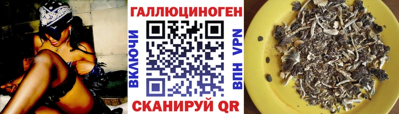 Псилоцибиновые грибы прущие грибы  как найти   Цоци-Юрт 